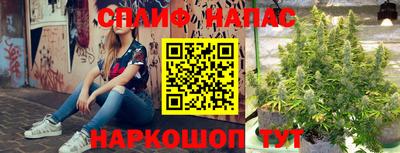 мяу мяу мука Кулебаки