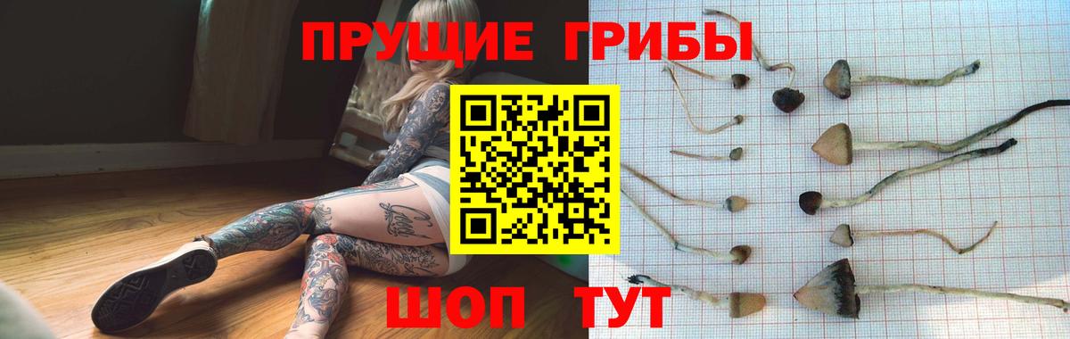 Галлюциногенные грибы MAGIC MUSHROOMS  Вход с VPN  где купить наркоту  Электрогорск 